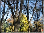 foto Giardini di Porta Venezia